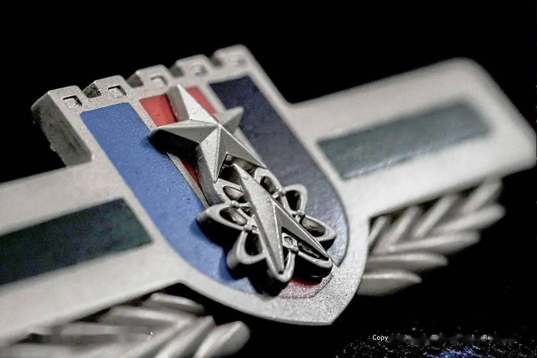 五大军种,你知道几个?_臂章