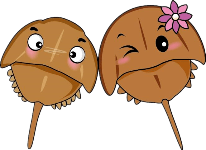 北部湾港股份有限公司增殖放流约1亿尾鱼虾蟹鲎苗