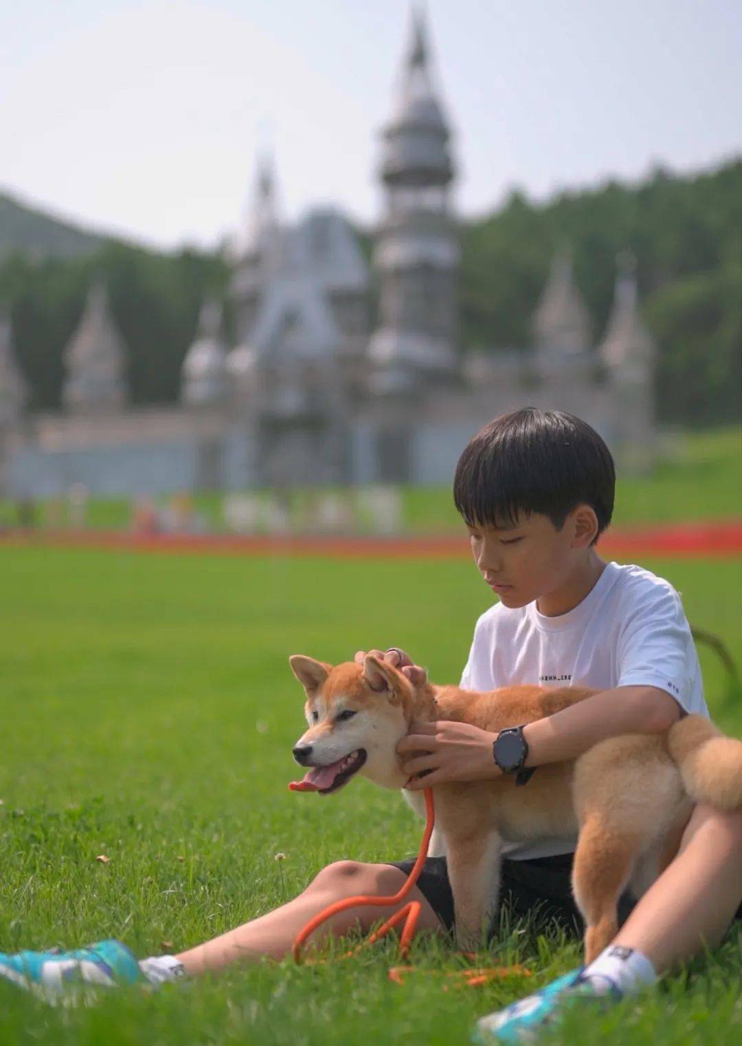 还有更多惊喜,说走就走._鹿峰