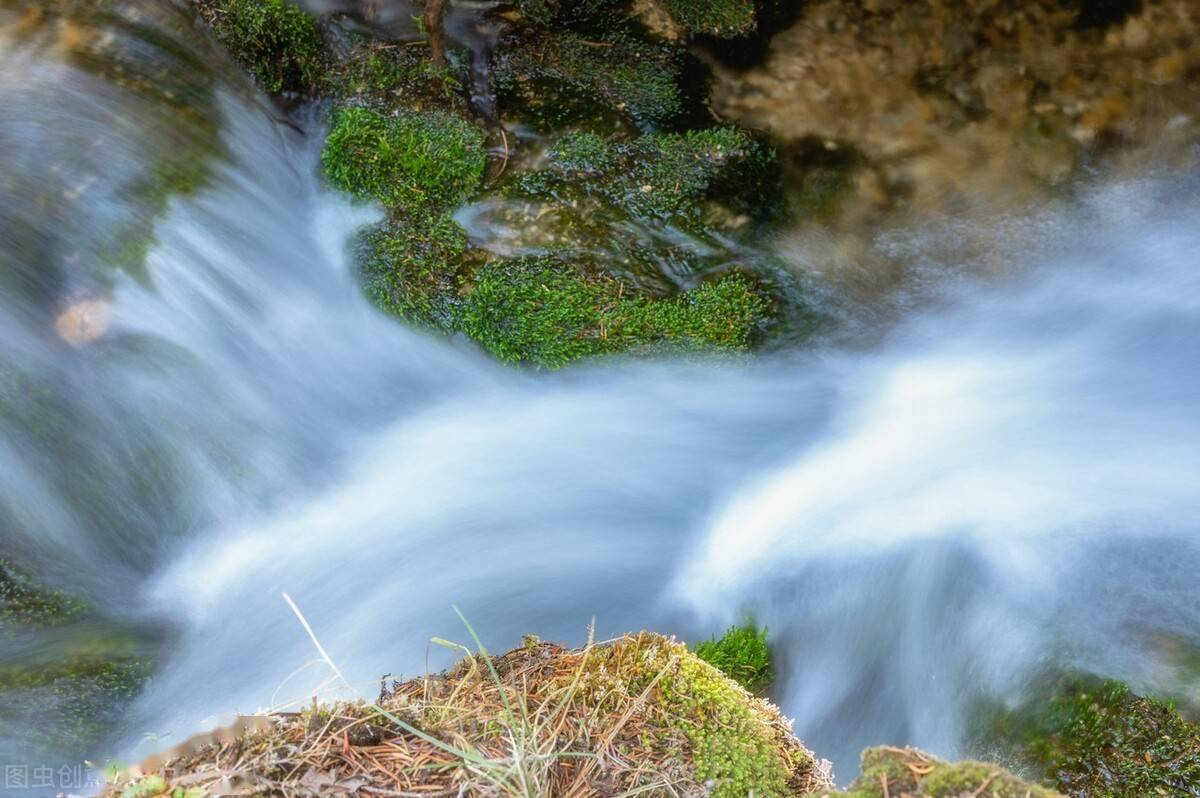 元 偰逊《山雨》赏析:风狂雨骤,夜里,山中的雨一直在哗哗地下着