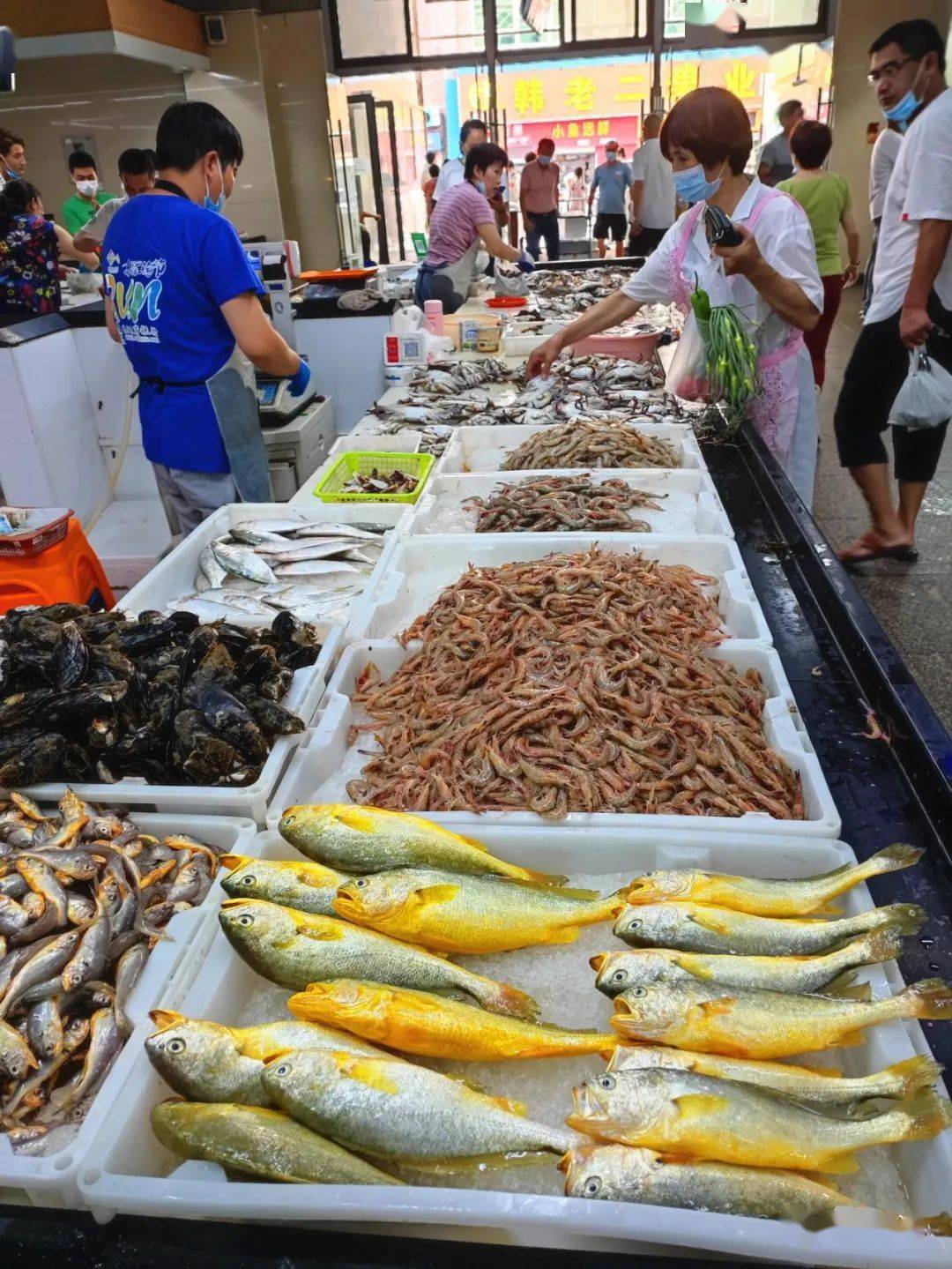 昨日开渔今天梭子蟹皮皮虾鲳鱼等就在海鲜市场等你来挑