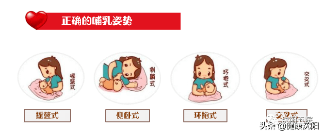 (五)正确的哺乳姿势人工挤奶方法是解决乳汁淤积的关键步骤,当出现