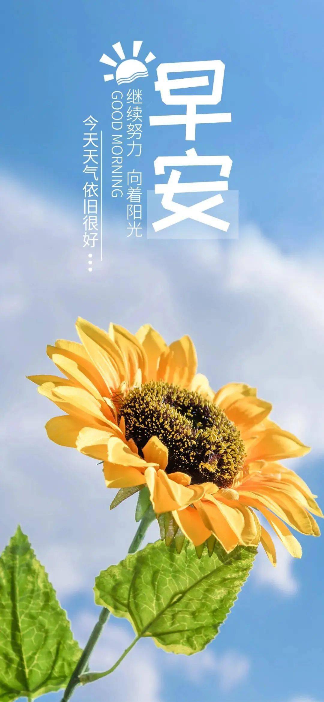 8月3日 早安 心语 朋友