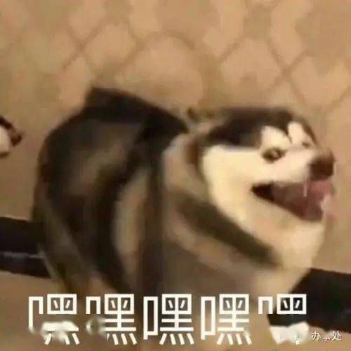 cc161ffb40644955afeb40947167ddcc.jpeg