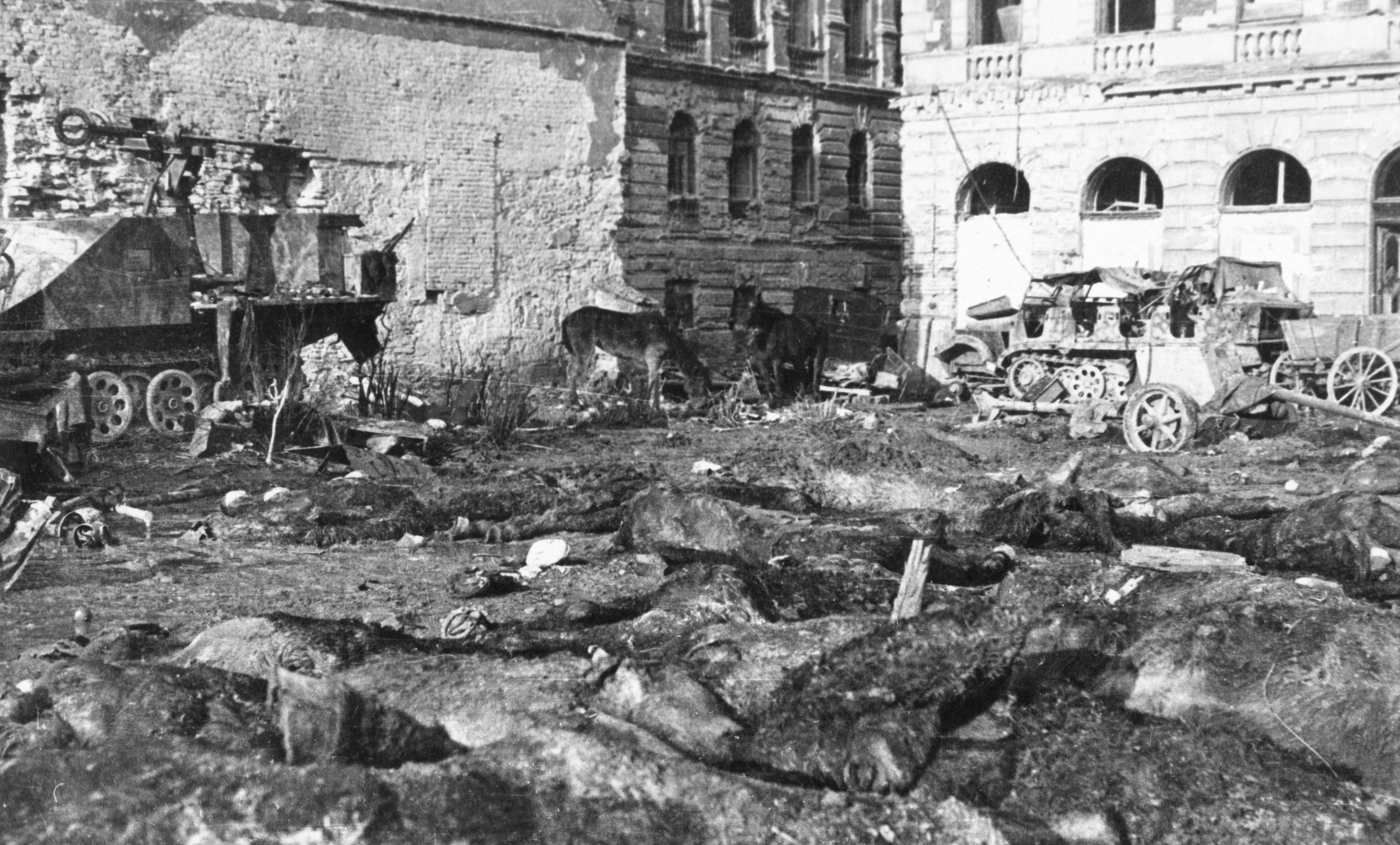 二战欧洲战场最血腥最昂贵的城市战之一布达佩斯战役