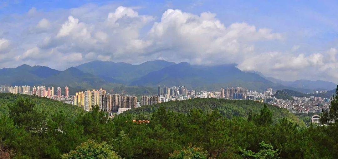 绿意盎然!云浮市中心城区林业生态保护实现森林面积和质量"双增"目标