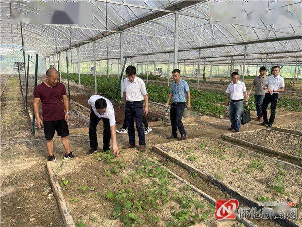 开云 开云体育APP怀化工业企业帮扶行｜技术咨询 成果转化 政策宣传 科技帮扶进企业 专家服务促发展(图1)