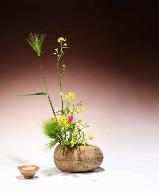 花艺 茶道 佛系 插花 抖落一身尘俗 花和 花艺 茶道 佛系 插花 抖落一身尘俗 花和