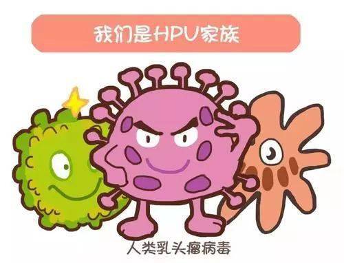 哪些是高危型hpv病毒 9040b836dedc497182a00cda97c5446b.jpeg