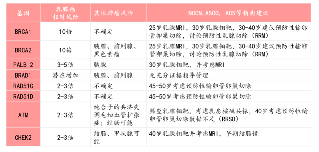 2021年nccn临床实践指南中,将brca1/2,cdh1 chek2等作为乳腺癌易感