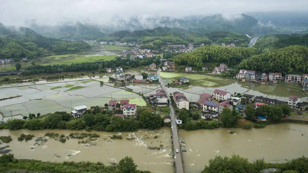 闽北美景|浦城忠信镇:雨后清晨 醉美田野 一幅绿色生态画卷缓缓展开
