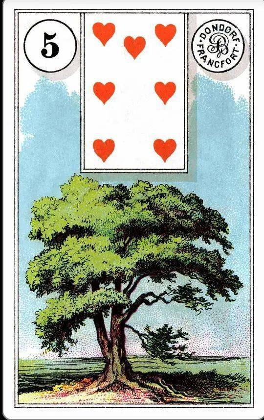 雷诺曼奥义5树云蛇棺材