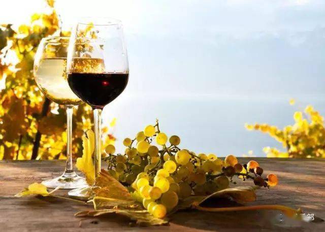 温度|避免8个错误，无忧无虑享受美酒