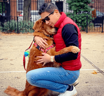 每次散步见人就抱,金毛因为爱抱抱而走红,网友:好想偶遇!