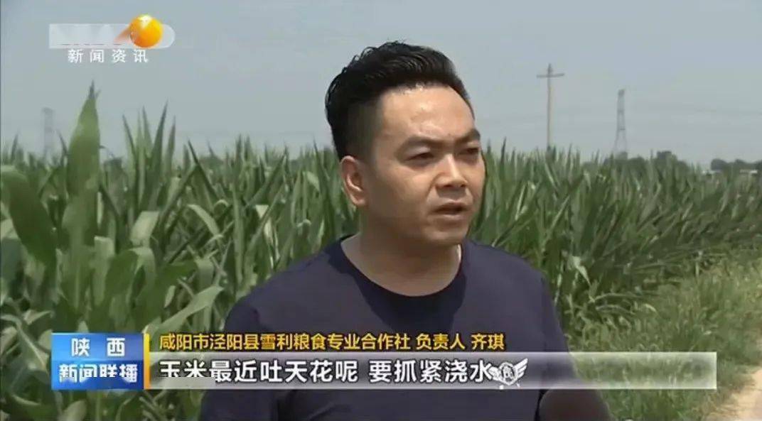 天气|【农技专家提醒】应对高温天气,夏玉米浇水施肥正当时