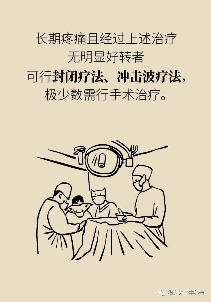 科普|年纪轻轻，也没干啥体力活儿，怎么就腰肌劳损了？