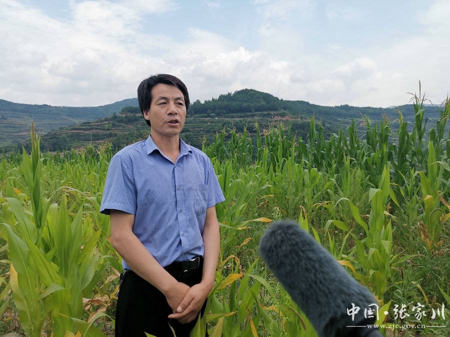 【小康圆梦·看张家川】恭门镇柳沟村:沉睡的撂荒地上"长"出新希望