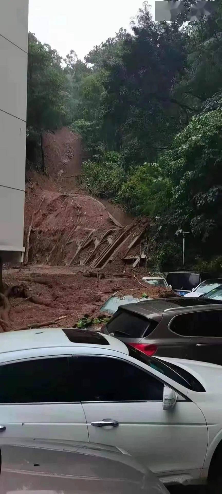 深圳一小区遭遇泥石流多辆车被掩埋直击现场