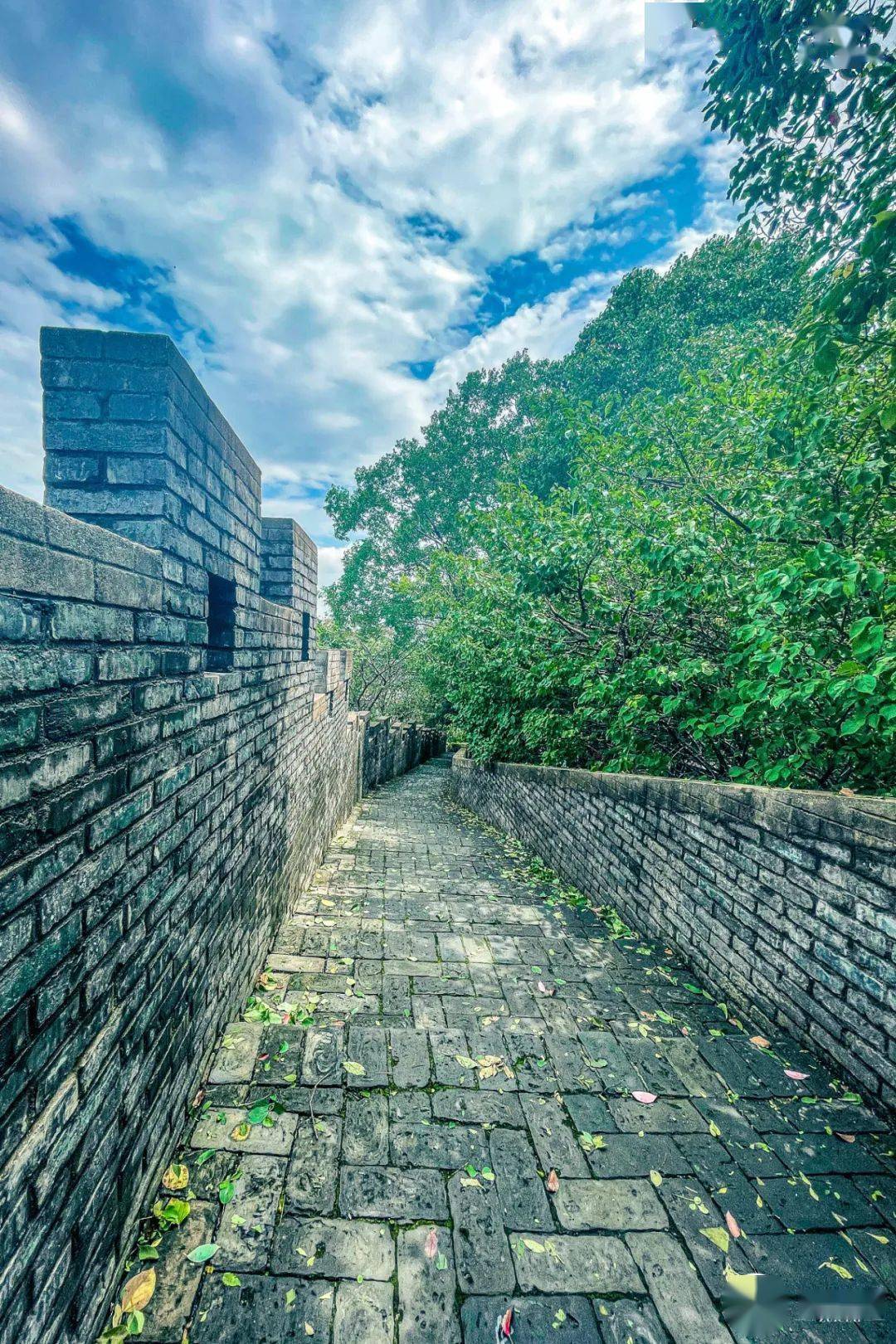 教场山公园想让他火一次