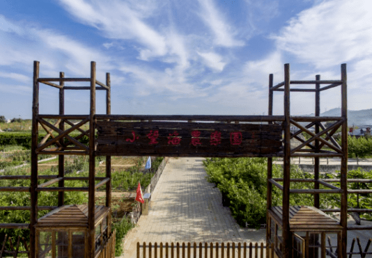 全国重点鲅鱼圈这个村要火