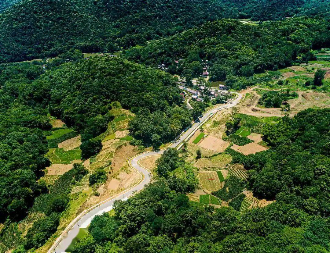 合肥巢湖"四好农村路"架起乡村振兴的"桥梁"_苏湾镇