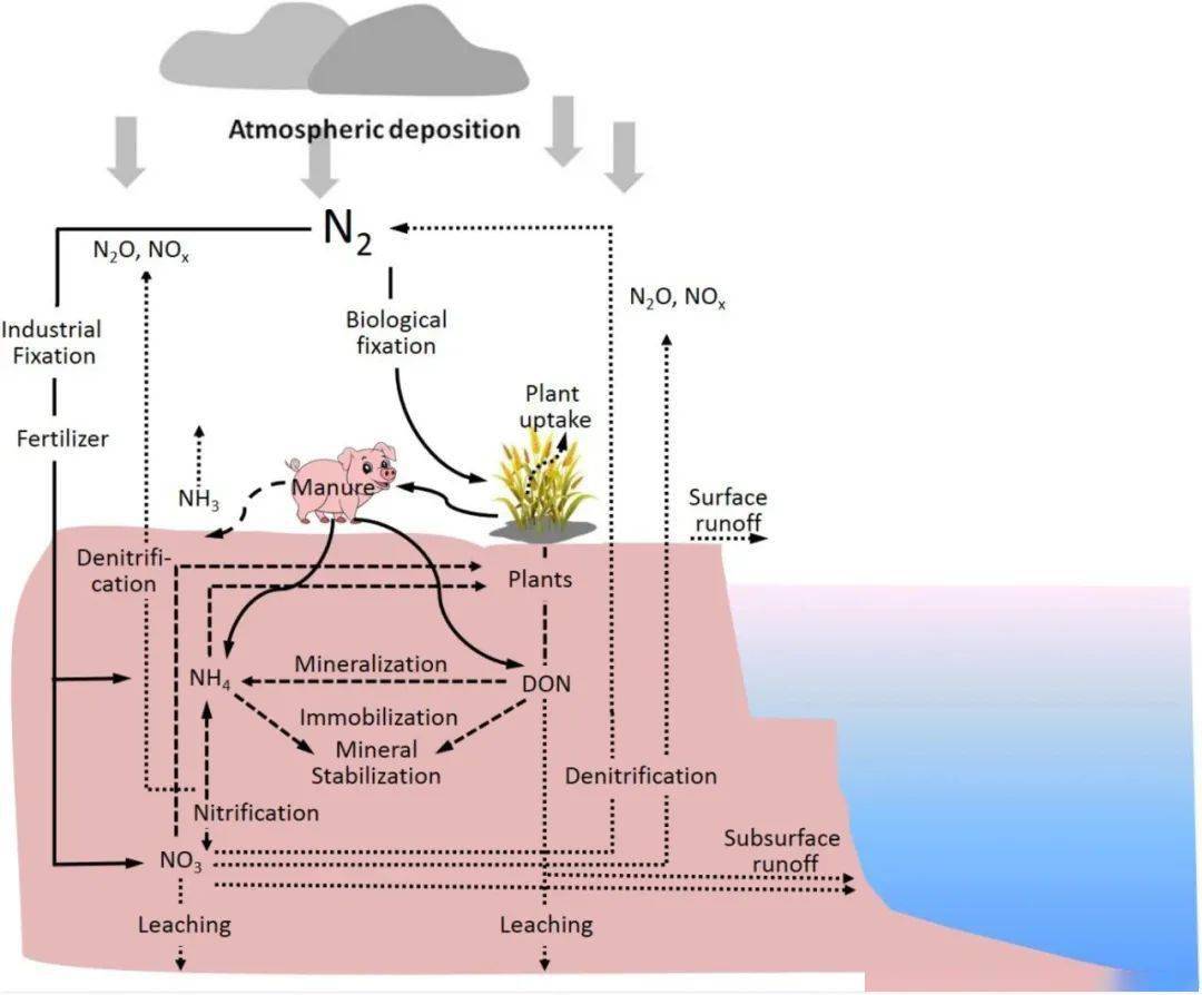 土壤氮循环示意图图片