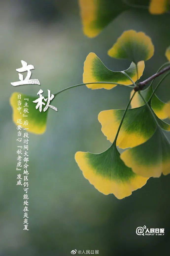 迎来"立秋"节气 立秋三候:一候凉风至,二候白露生,三候寒蝉鸣; "立秋"