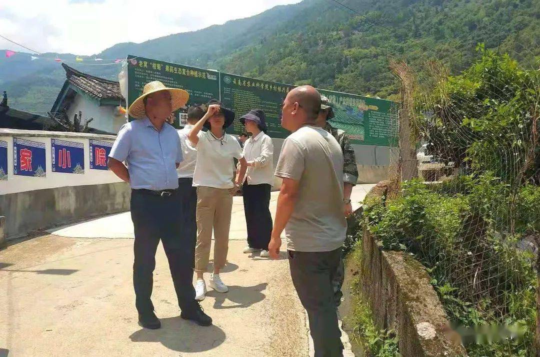 张晓鸣到老窝镇开展产业结构调整专题调研