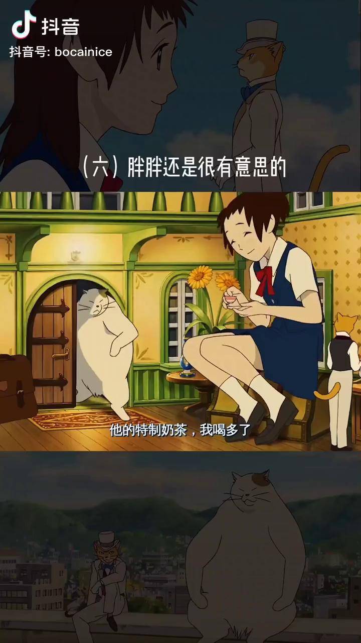 在侧耳倾听没看够啊月这只猫咪的这里可以看了说话有点拽猫的报恩