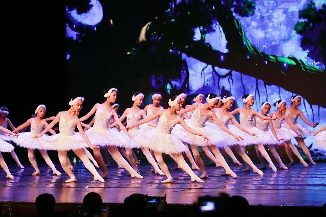 限定名额东艺少儿芭蕾舞团2021秋季招新
