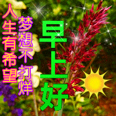 2c5fea0e2fd74f069f6bf4b356ab0587.gif