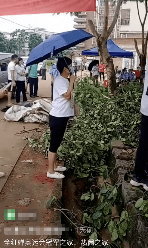 全红婵家人无奈请求网红!网红跑到她广东湛江的家门口，或直播或录像