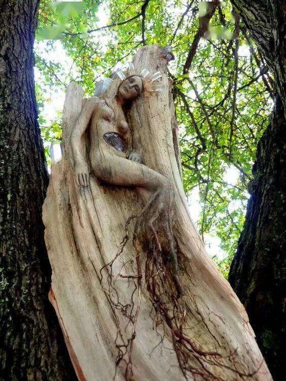 神工鬼斧神奇的树雕太不可思议