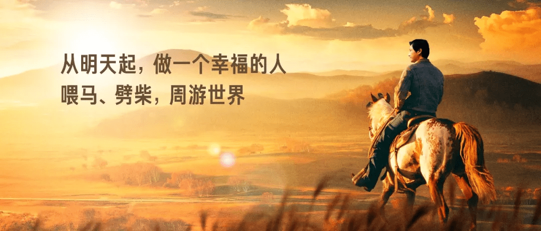 It's|2021雷军年度演讲全文：这些年经历的艰难选择