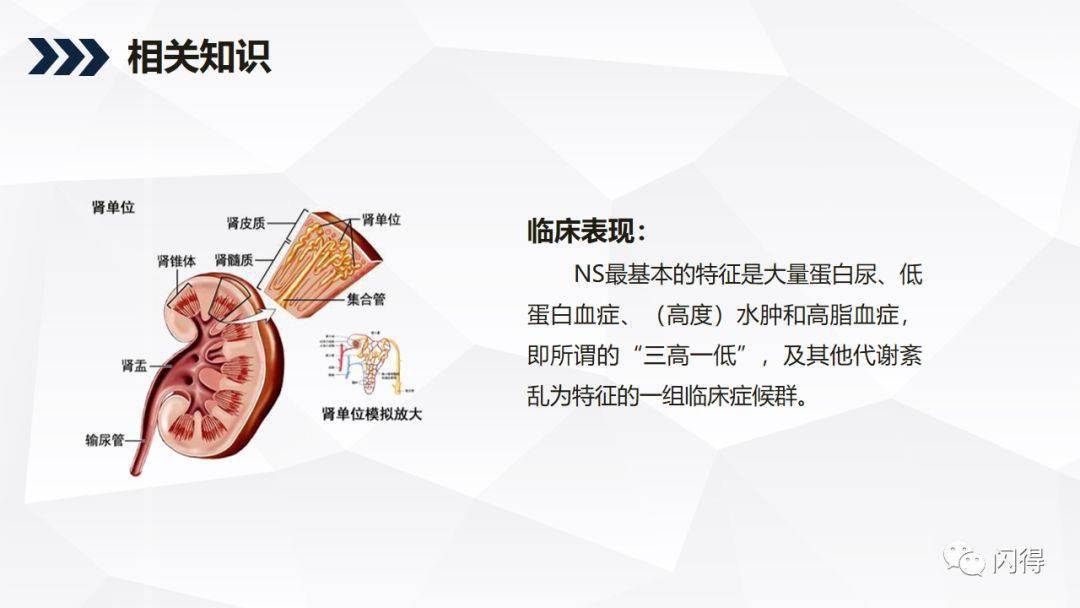ppt肾病综合征患者的护理查房最新版