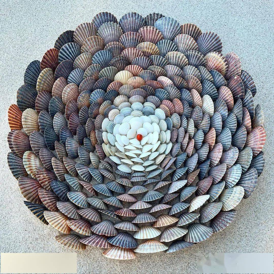 美女珠宝设计师疫情期间陪孩子玩耍拼贝壳拼着拼着成了大神太治愈了