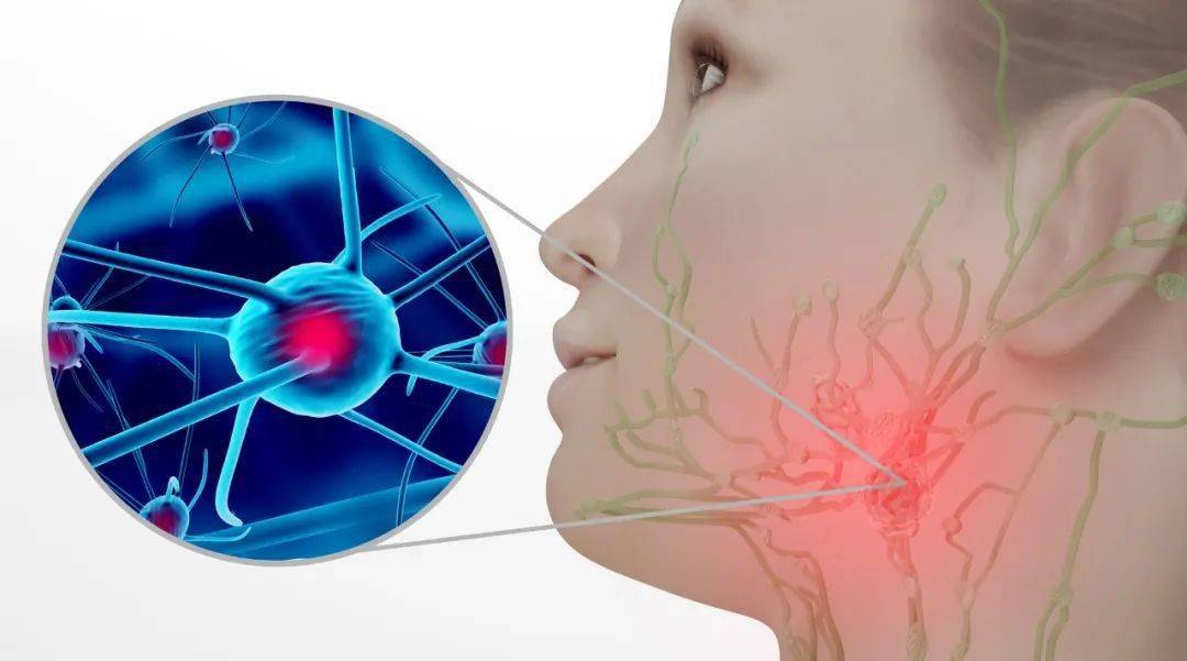 小淋巴细胞淋巴瘤能活多久 978c5f85ee304c05b43d29e6744fda2d.jpeg