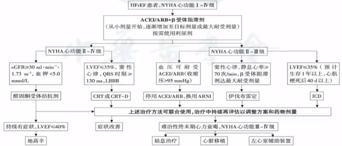 诊断|周京敏:扩张型心肌病诊疗现状