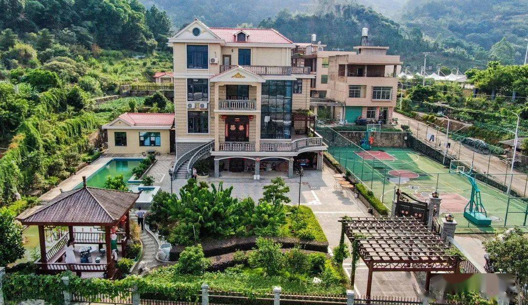 寻找美丽庭院走进华丰镇蔡金海李建明李福盛的美丽庭院