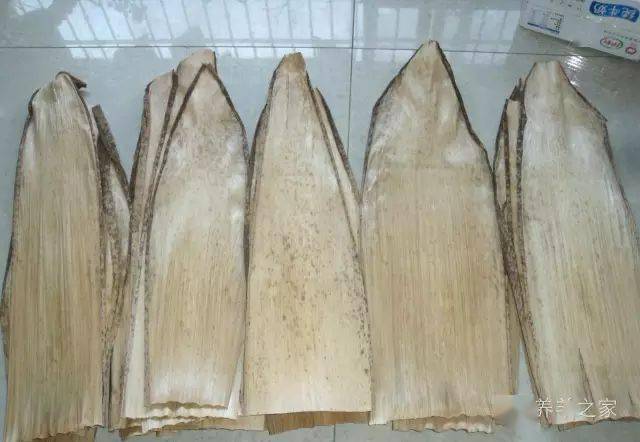 此物喂羊长得好,又节省成本,但很多人都当垃圾了!_笋壳