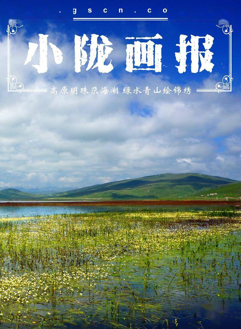 高原明珠尕海湖 绿水青山绘锦绣