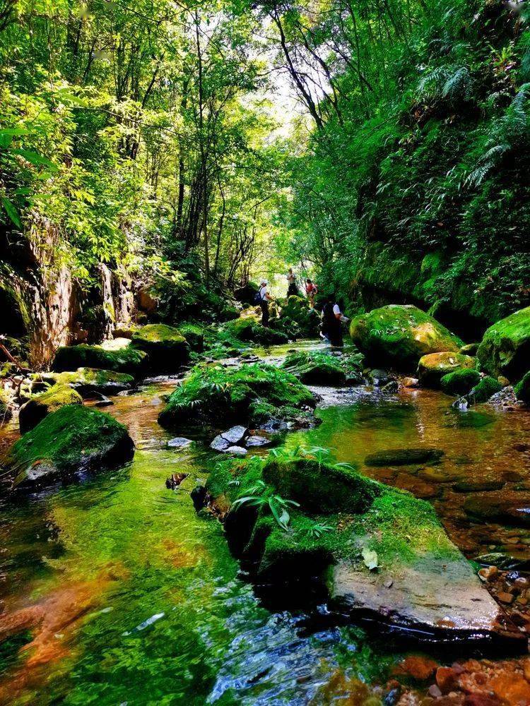 沅陵乡村小溪之恋·龙虎坪溪