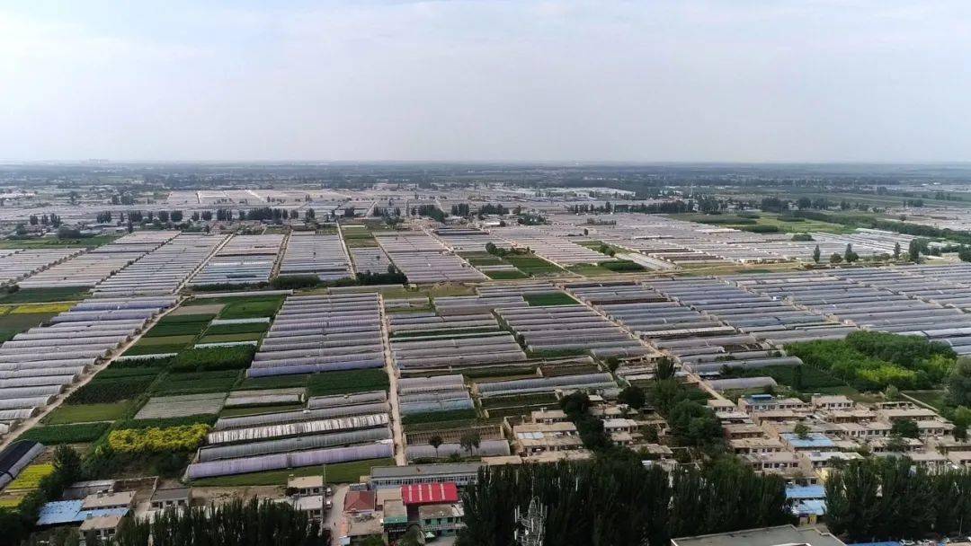 两优一先自治区先进基层党组织银川市兴庆区掌政镇镇河村党支部