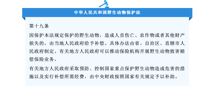 财产损失进行赔偿的说明中,有这样一个词:野生动物肇事公众责任保险