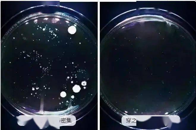 秘密|性开放的日本,为何妇科问题全球最低?秘密竟然是...