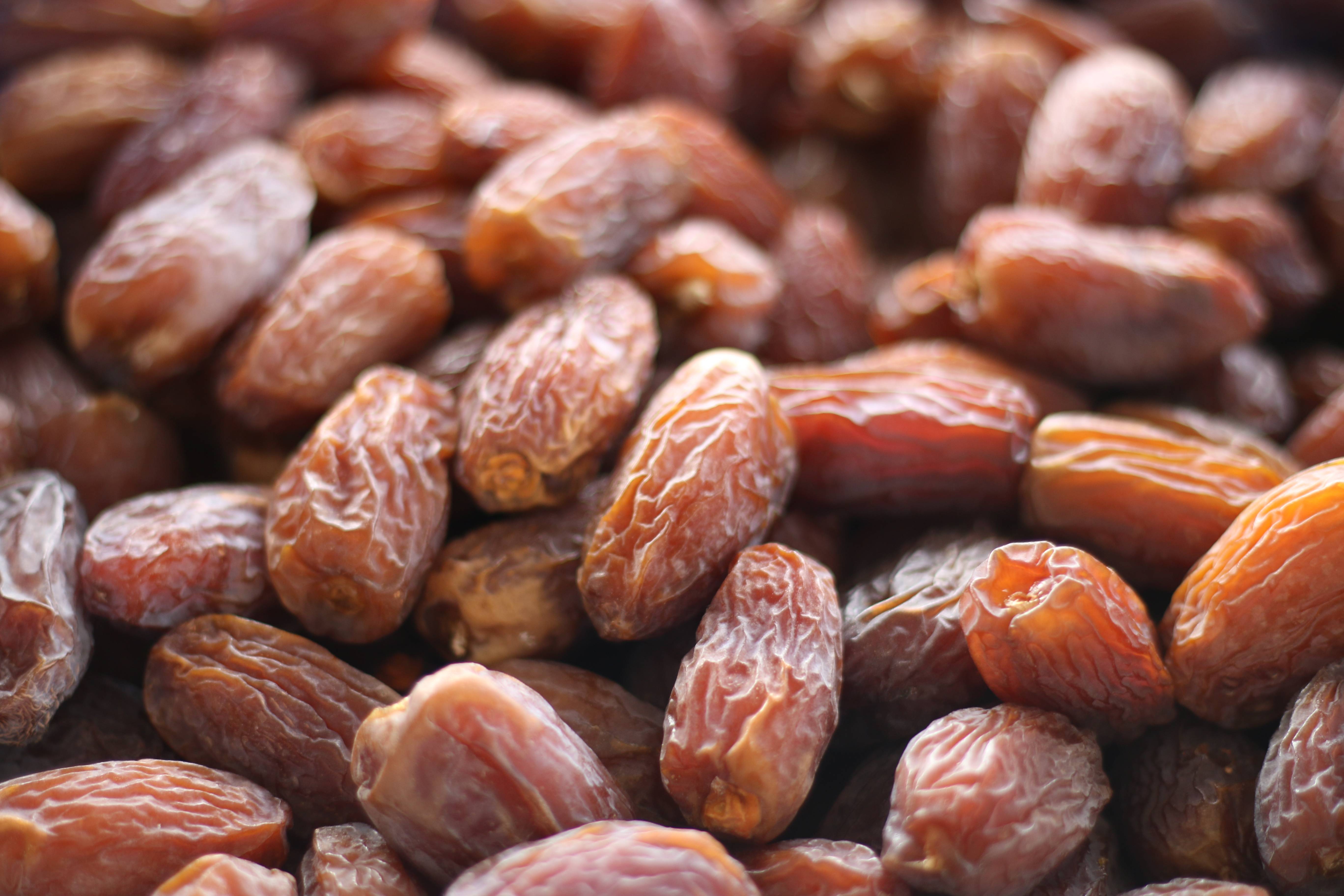 沙特进入椰枣收获季