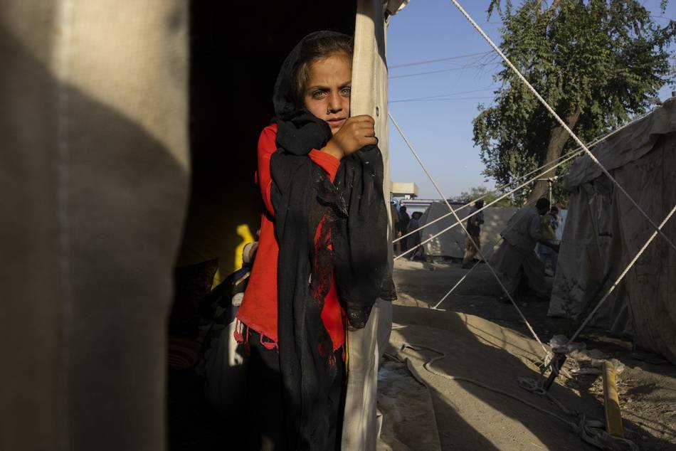 图集"为了活命只能逃"阿富汗难民流离失所艰难寻求庇护
