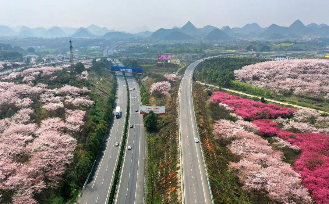 人民大道,花冠路,中環路等