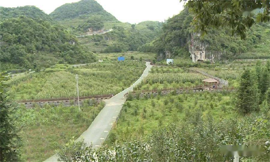盘州旅游普田乡雁子村特色产业旺田园乡村美
