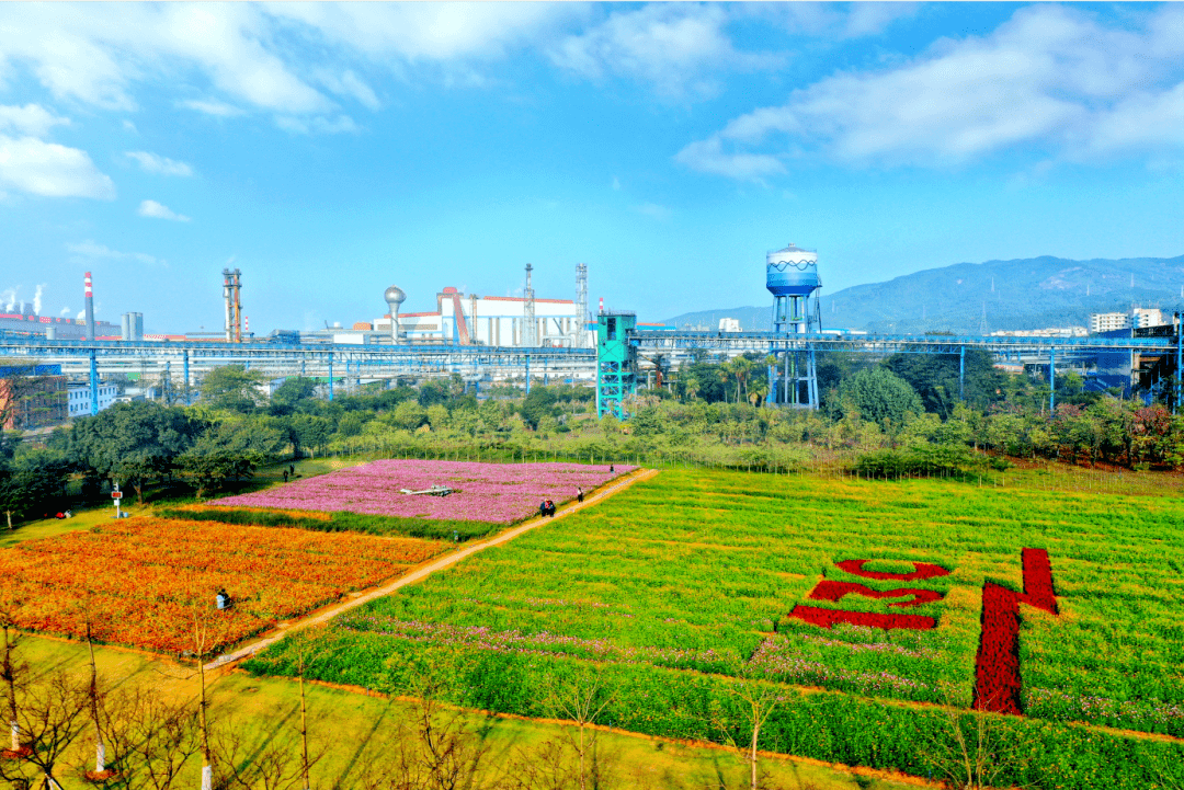 韶钢松山党委书记董事长解旗追求极致效率打造以钢铁为价值载体的高